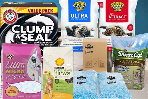 best cat litter|best cat litter for tracking.